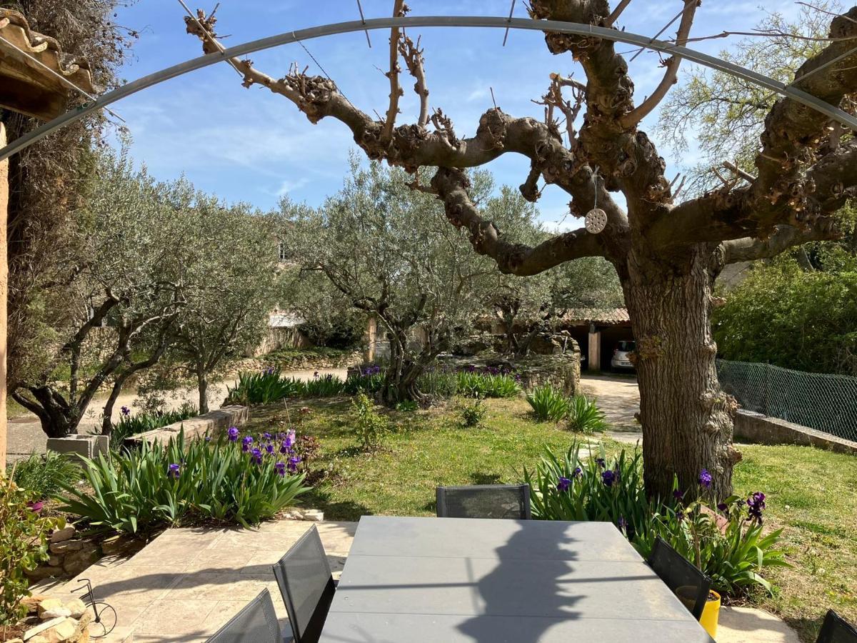 Chambre avec petit-déjeuner en Provence Luberon La Tour-dʼAigues Extérieur photo